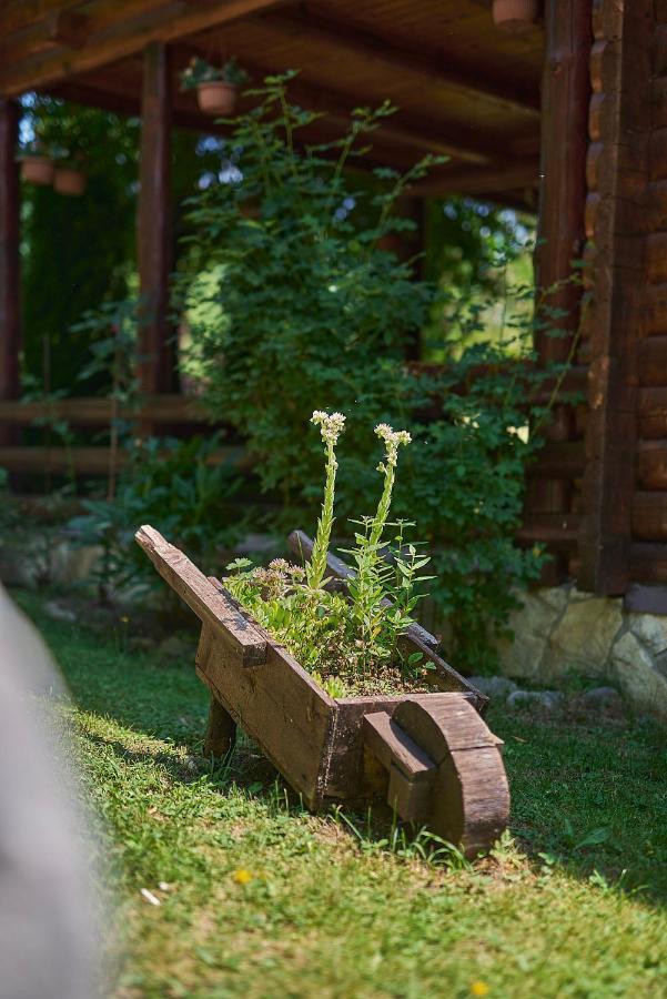 Country House Brijest Kolasin Exterior photo
