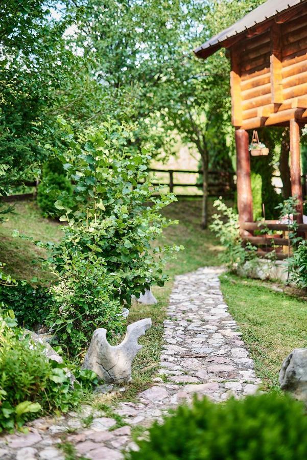 Country House Brijest Kolasin Exterior photo